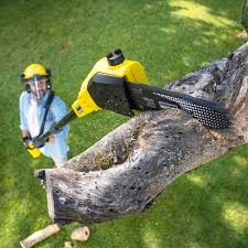Best Lawn Irrigation Installation and Maintenance  in Aragon, GA